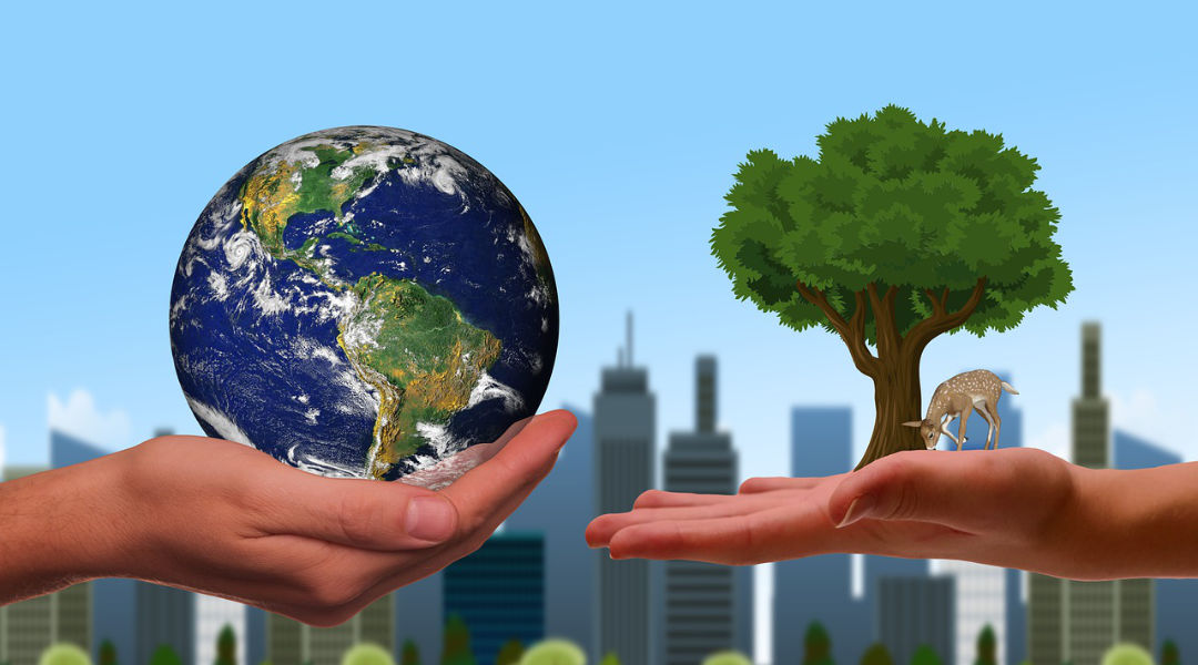 Gestión Ambiental