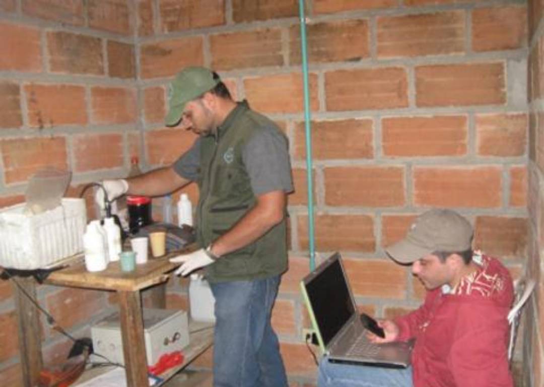 Título foto 4