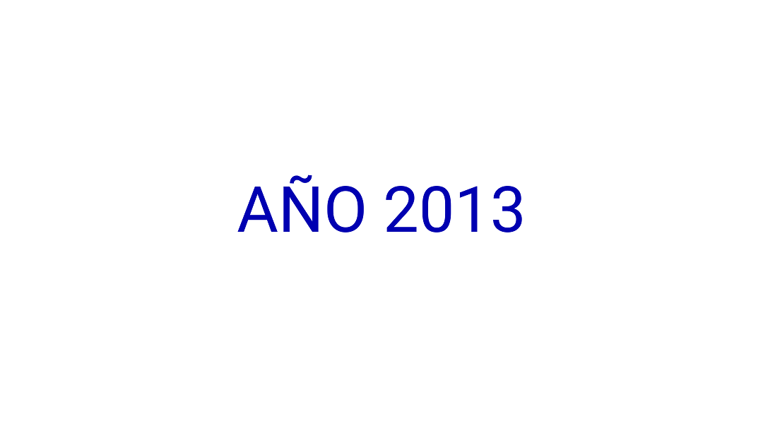 Año 2013